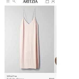 Aritzia Wilfred Dress